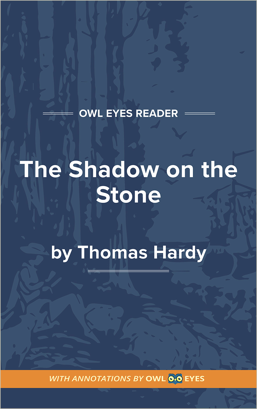 The Shadow on the Stone Cover Image