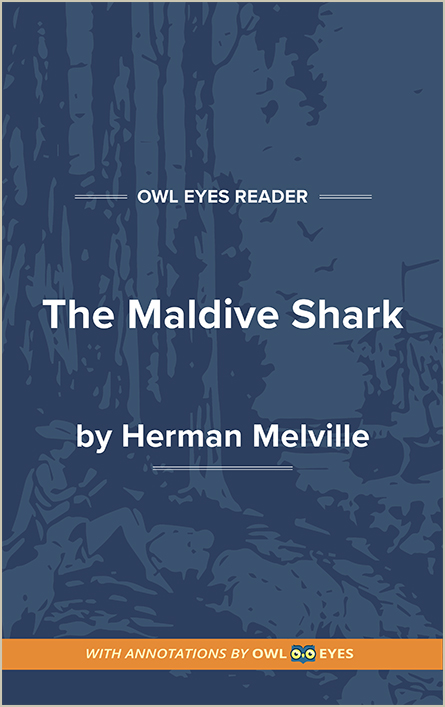 The Maldive Shark Cover Image