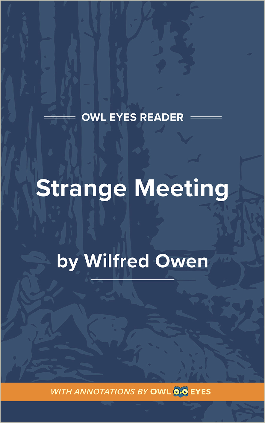 Strange Meeting Cover Image