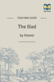 Cover image for The Iliad Teaching Guide