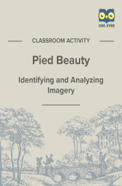 Cover image for Pied Beauty Imagery Activity