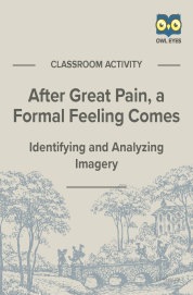 Cover image for After Great Pain, a Formal Feeling Comes Imagery Activity